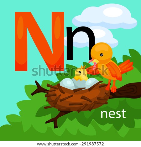 N For Nest Stock Images, Royalty-Free Images & Vectors | Shutterstock