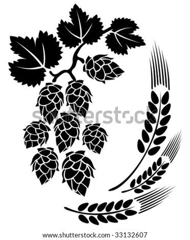 Hop-plant Stock Photos, Royalty-Free Images & Vectors - Shutterstock