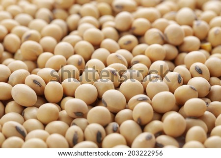 soy beans