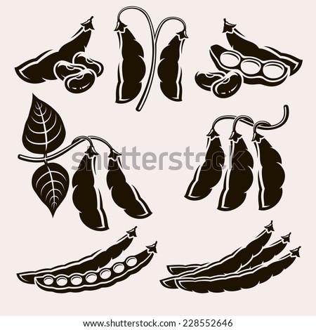 Bean plant Stock Photos, Images, & Pictures | Shutterstock