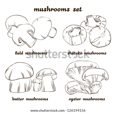 Mushrooms Drawing Stock Images, Royalty-Free Images & Vectors