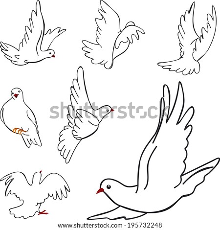 Vector Sketches Beautiful White Doves Different Stock Vector 195732248 ...