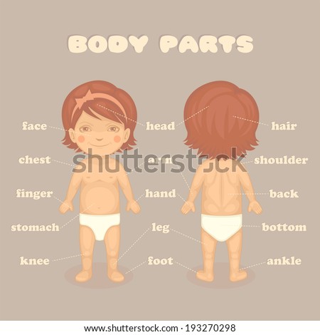 Baby Girl Body Parts Vector Cartoon Stock Vector (Royalty ...