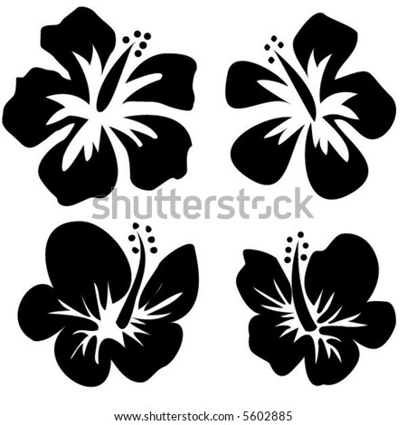Hibiscus vector Stock Photos, Images, & Pictures | Shutterstock