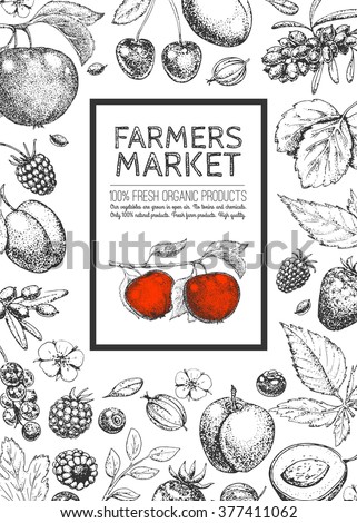 Food design template. Vintage logo, fruits and berries. Hand drawn vector illustration. Farmers market. Style of etching. Layout. Sketch.