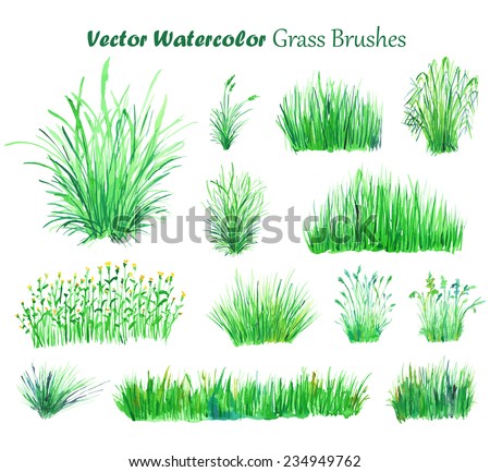 Watercolor Grasses Stock Photos, Images, & Pictures | Shutterstock