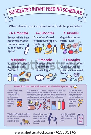 Detailed Information On Baby Food Infographic Presentation Stock Vector 413331145 Shutterstock Baby Year Infographic Template