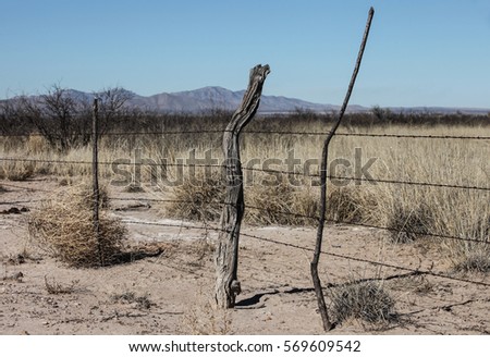 Old Barbed Wire Fence Old Barbed Wire Fence