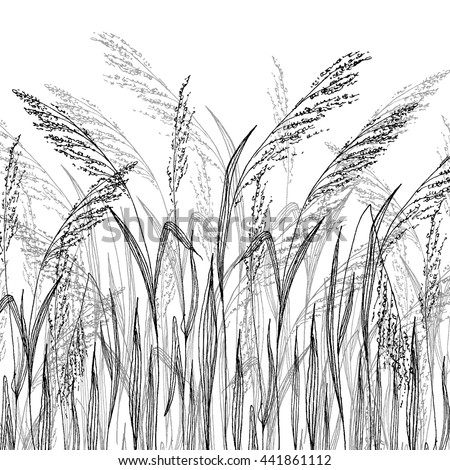 Vector Grass Sketch Illustration Wild Herbs Stock Vector 441861112 ...