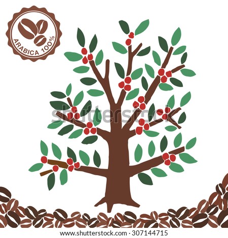 Arabica Coffee Tree Beans Vector Stock Royalty Free 307144715 Arabica Coffee Tree Beans Vector Stock Royalty Free 307144715