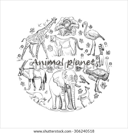 Hand Drawn Save Animals Emblem Animal Stock Vector 306240518 - Shutterstock