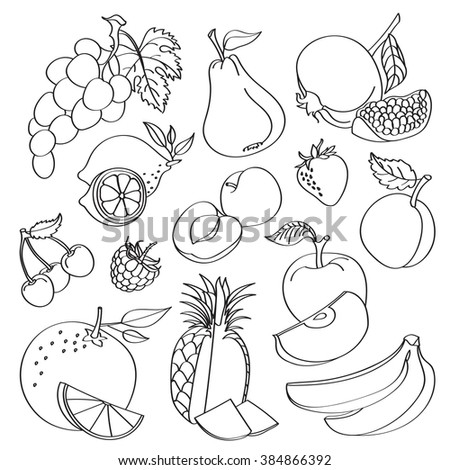 Vector Illustration Assorted Fruits Outline Drawing Stock Vector ...