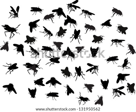 Fly Stock Vectors, Images & Vector Art | Shutterstock