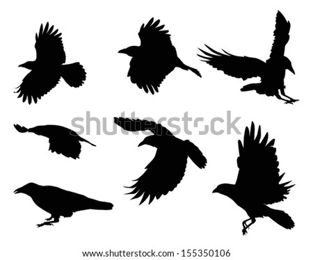 Crow silhouette Stock Photos, Images, & Pictures | Shutterstock