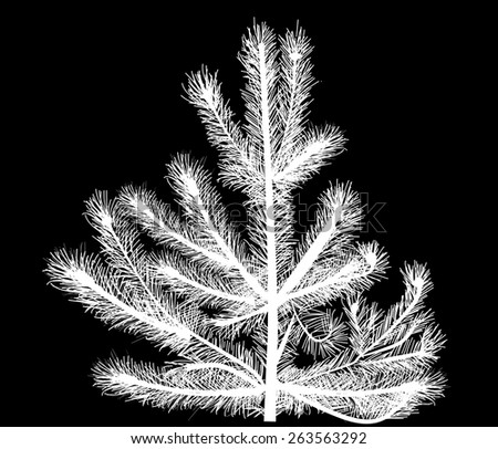 pine level black singles The pineapple (ananas comosus) is meaning pine of the indians fungal heart rot, root rot, black rot, butt rot, fruitlet core rot. pine level black singles The pineapple (ananas comosus) is meaning pine of the indians fungal heart rot, root rot, black rot, butt rot, fruitlet core rot.