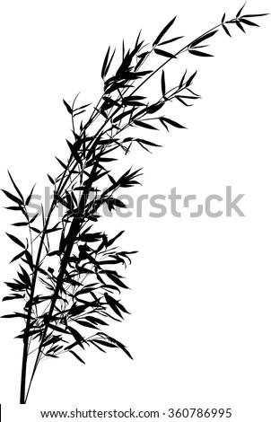Illustration Black Bamboo Branch Isolated On Stock Vector 