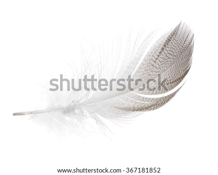 Potapov Alexander's Portfolio on Shutterstock