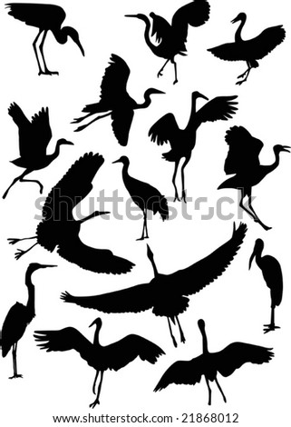 Heron Silhouette Stock Photos, Images, & Pictures | Shutterstock