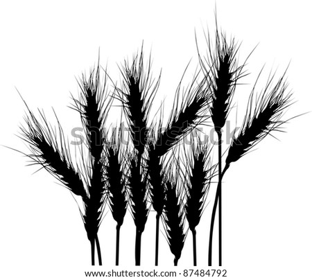 Illustration Wheat Silhouettes Isolated On White Stock Vector 87484792 ...