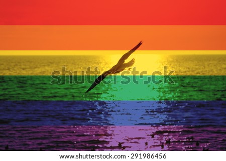 Blonde shemale hardcore Gay pocketpc themes