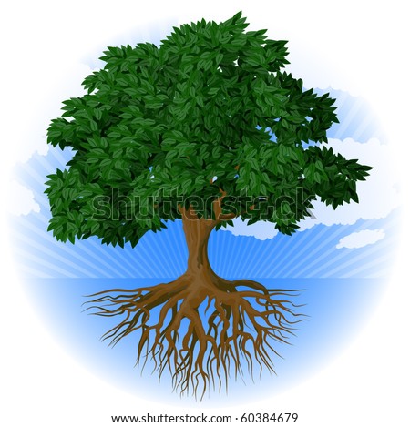 Tree Roots Vector Stock Vector 60384679 - Shutterstock