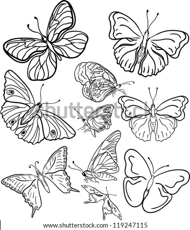 outline butterfly silhouettes stock vector royalty free 119247115