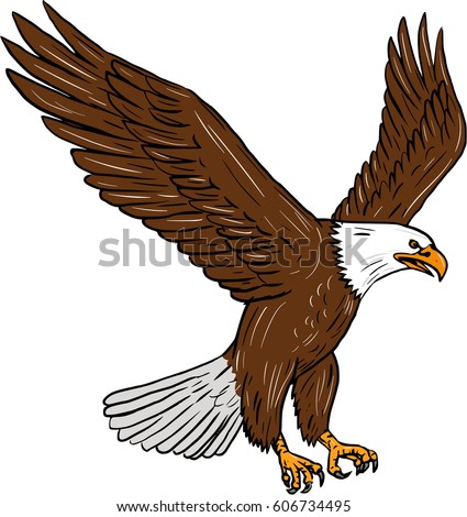 Drawing Sketch Style Illustration Bald Eagle Stock Illustration ...