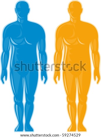 Body Man Profile Front Back Stock Vector 98851187 - Shutterstock