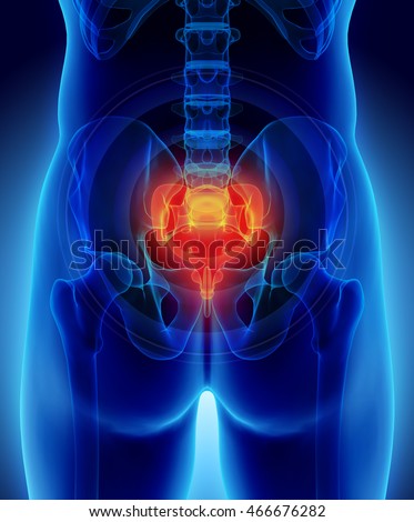 Sacrum Stock Images, Royalty-Free Images & Vectors | Shutterstock