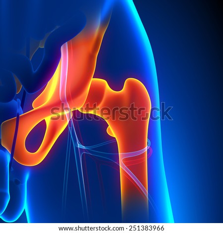 Reproductive System Male 3d Illustration Medical Stock Illustration ...