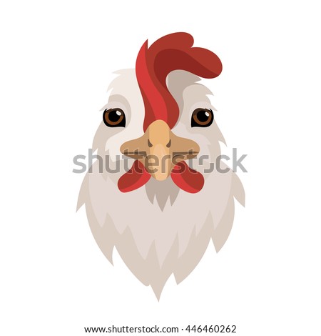  Chicken Face Stock Images Royalty Free Images Vectors 