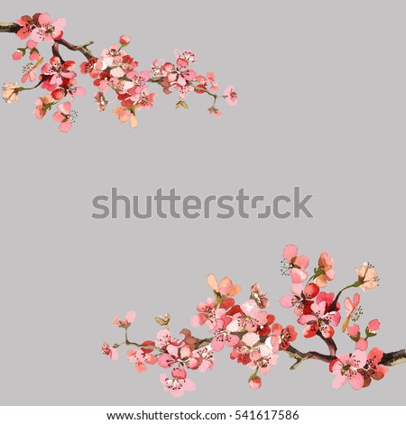 hand painting spring flowers branch watercolor isolated on grey background for greeting cards