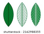 elegant green leaves vector set.... | Shutterstock .eps vector #2162988355
