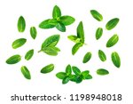 Fresh mint leaves pattern isolated on white background, top view. Close up of peppermint