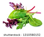 Salad leaves mix with rucola, red  lettuce, spinach and  chard, leaf isolated on white background.