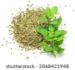Oregano or marjoram herbs  isolated on white background. Fresh and dried oregano spice 