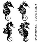 seahorse graphic icons.... | Shutterstock .eps vector #1904162875