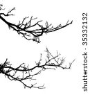 Vector Silhouette Of The Branch ...
