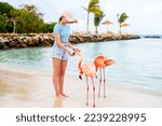 Teenage girl and pink flamingos at beach in Aruba