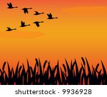 Vector Silhouette Geese And...
