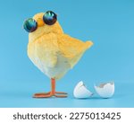 Small photo of Yellow chick decoration wearing silly sunglasses with a cracked, hatched egg.