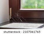 We haven wiped the dust for a long time. Silvery spider webs glow in the sun in the corner of a modern window and sill