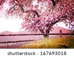 Blossom tree over nature...