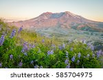 The breathtaking views of the volcano at sunset. The last rays of the sun illuminate a large crater. Loowit Viewpoint, Mount St Helens National Park, West Part, South Cascades in Washington State, USA