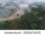Tropical green tree forest morning with fog nature landscape aerial view