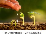 Agriculture and Seedling concept by Male hand watering young tree over green background