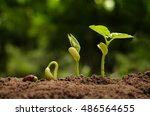 Small photo of Seedling and Plant sprout growing step over green background (Red Kidney Bean seed)