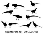 Pheasant Vector Silhouettes ...