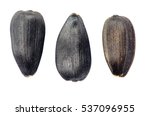 sunflower seeds isolated on... | Shutterstock . vector #537096955