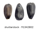 sunflower seeds isolated on... | Shutterstock . vector #91342802
